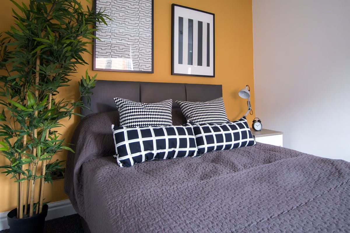 3 JJ, Thomson Mews, Manchester, M14 6JT
